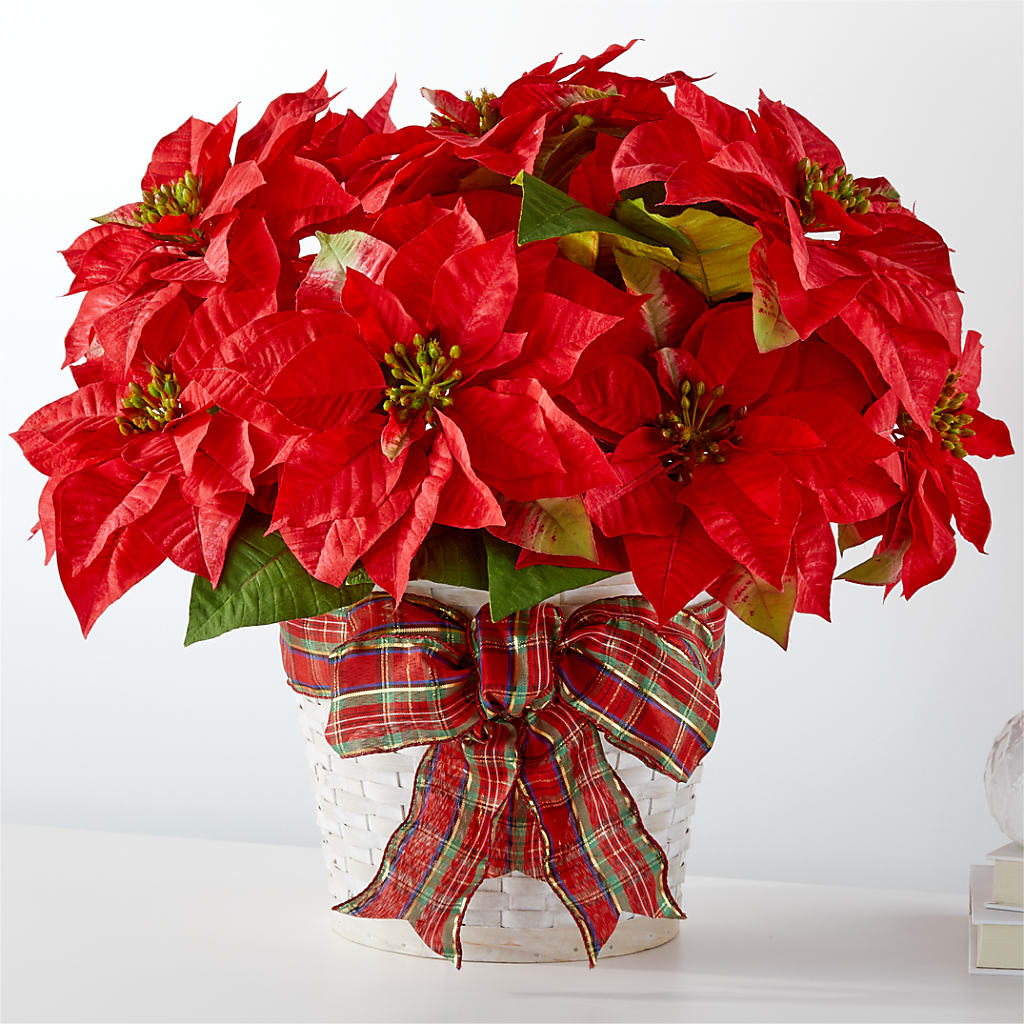 Happiest Holidays Poinsettia – Bruce Philp Florist, Windsor ON