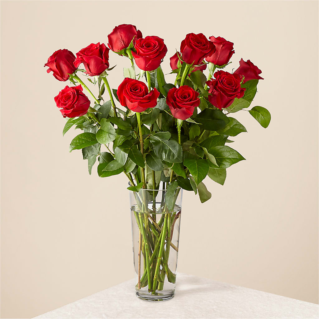 Long Stem Red Rose Bouquet – Bruce Philp Florist, Windsor ON