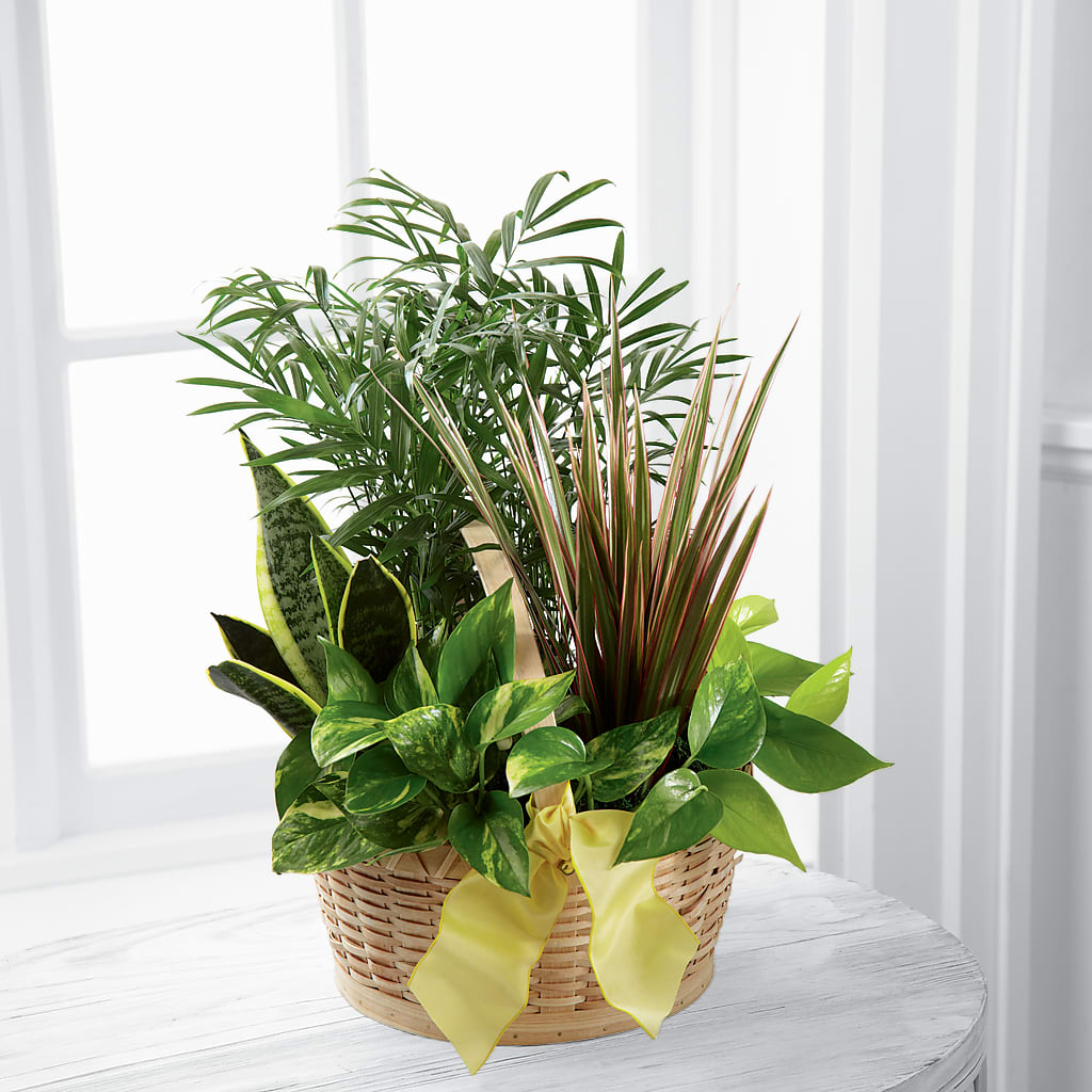 French Garden – Bruce Philp Florist, Windsor ON
