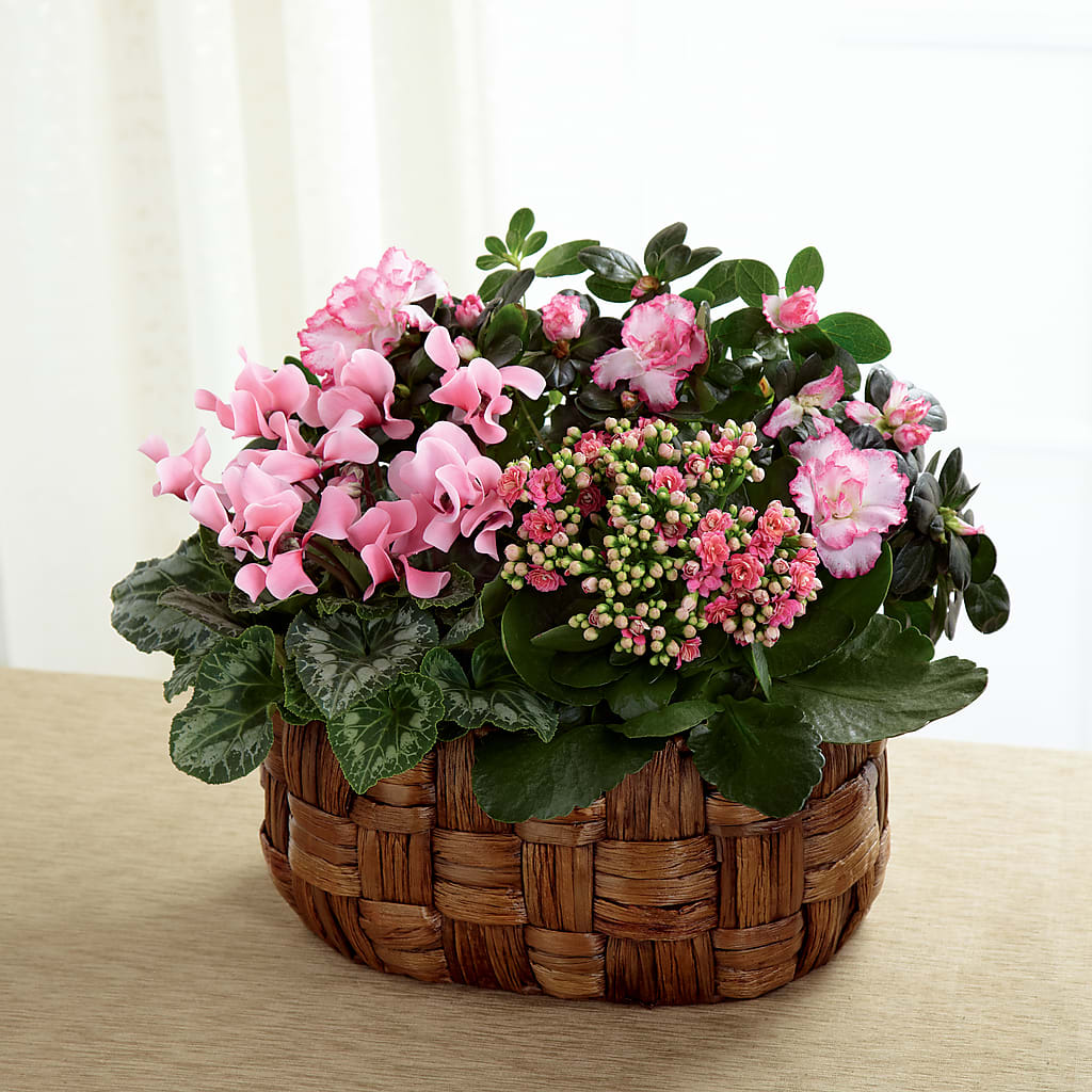 Pink Assortment – Bruce Philp Florist, Windsor ON