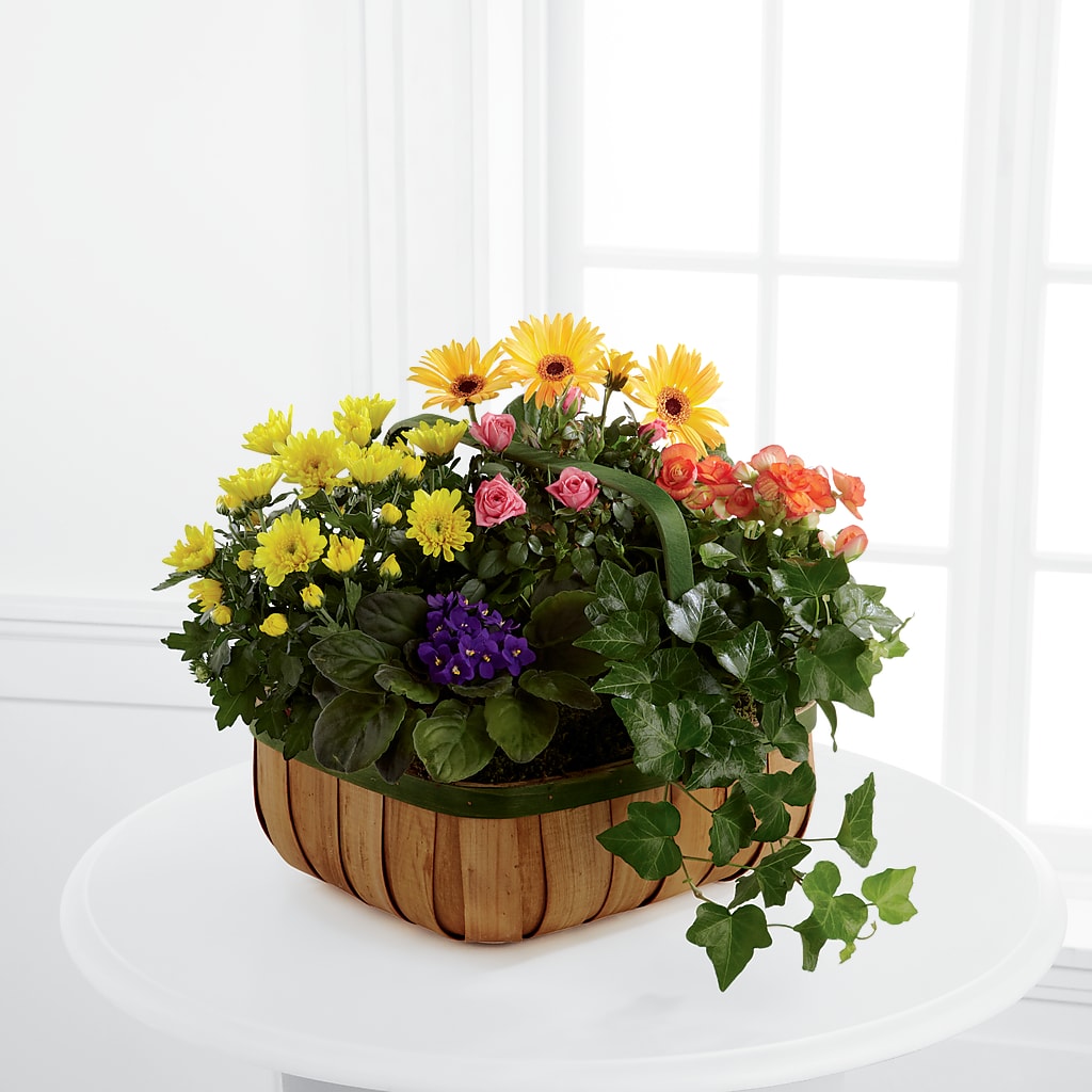 Gentle Blossoms Basket – Bruce Philp Florist, Windsor ON