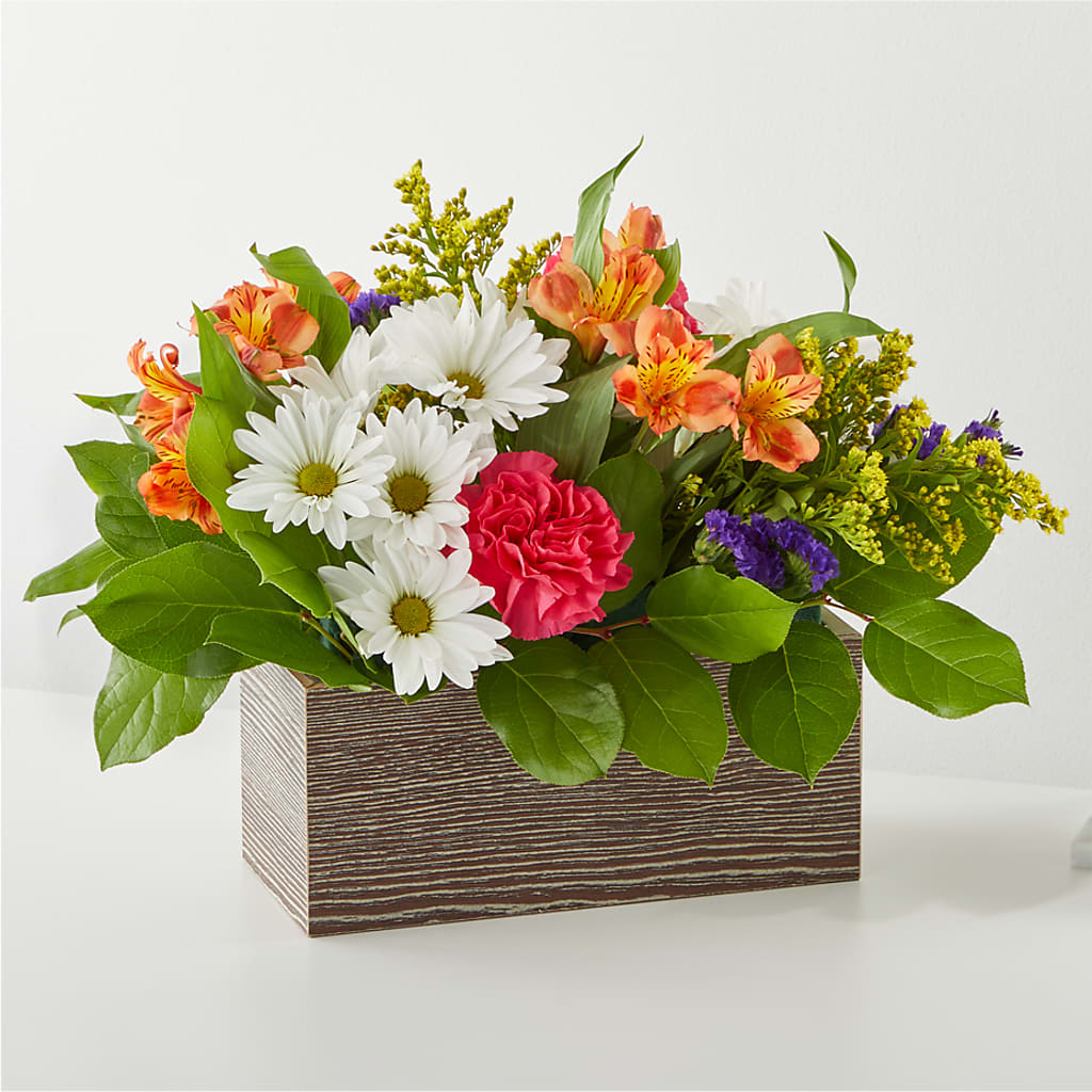Oopsie Daisy Box Bouquet – Bruce Philp Florist, Windsor ON