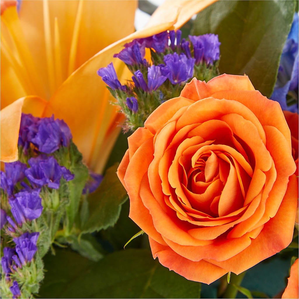 Radiant Citrus Box Bouquet – Bruce Philp Florist, Windsor ON