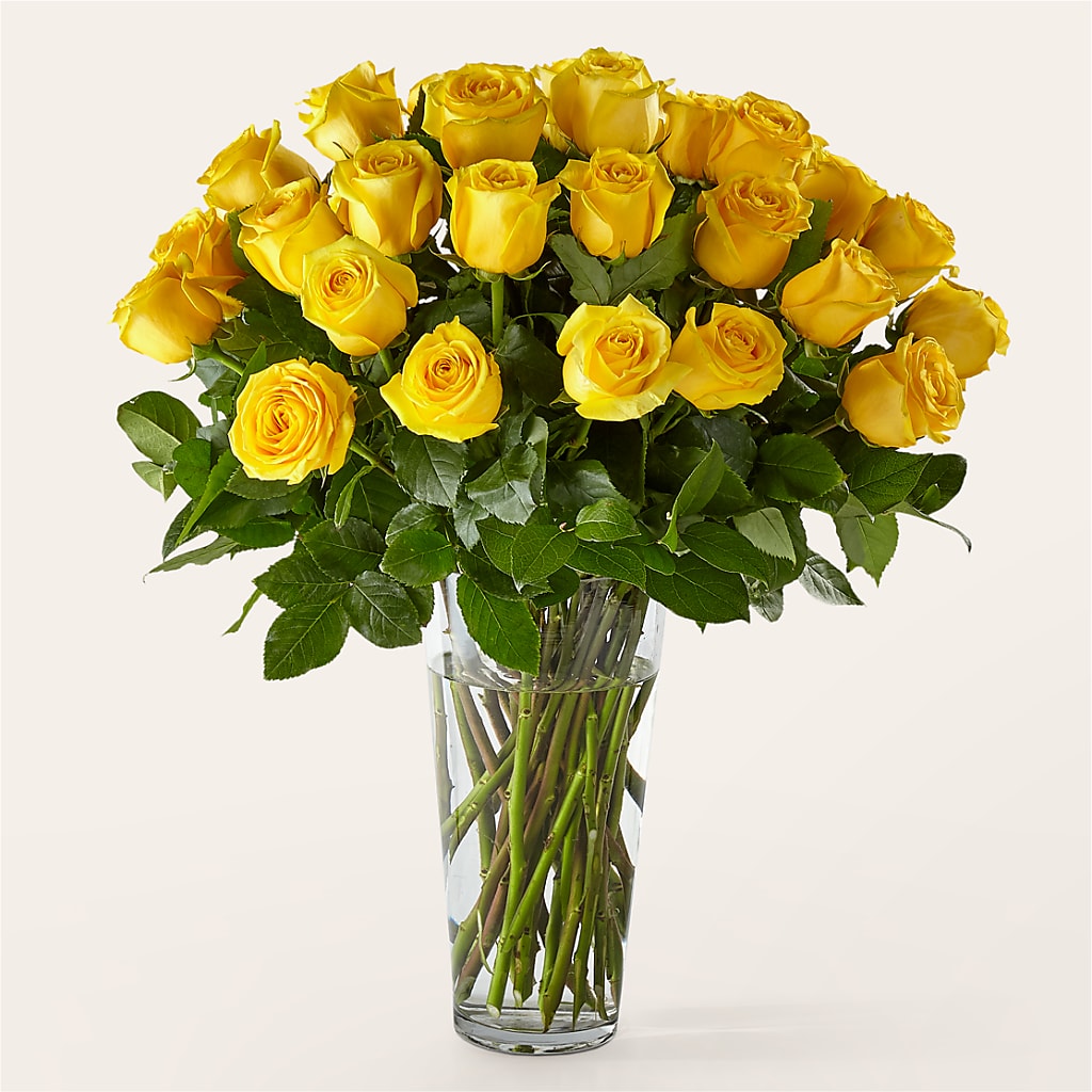 Long Stem Yellow Rose Bouquet – Bruce Philp Florist, Windsor ON