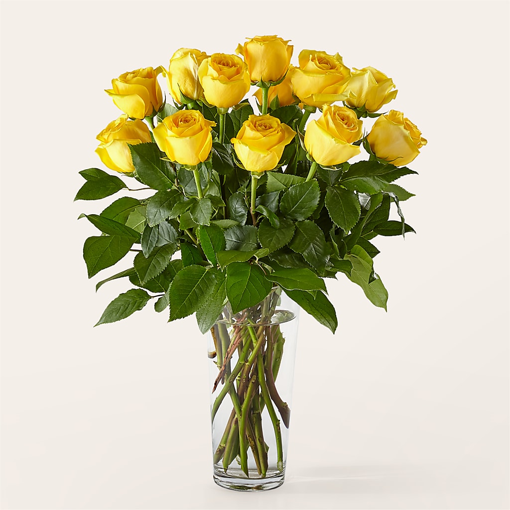 Long Stem Yellow Rose Bouquet – Bruce Philp Florist, Windsor ON