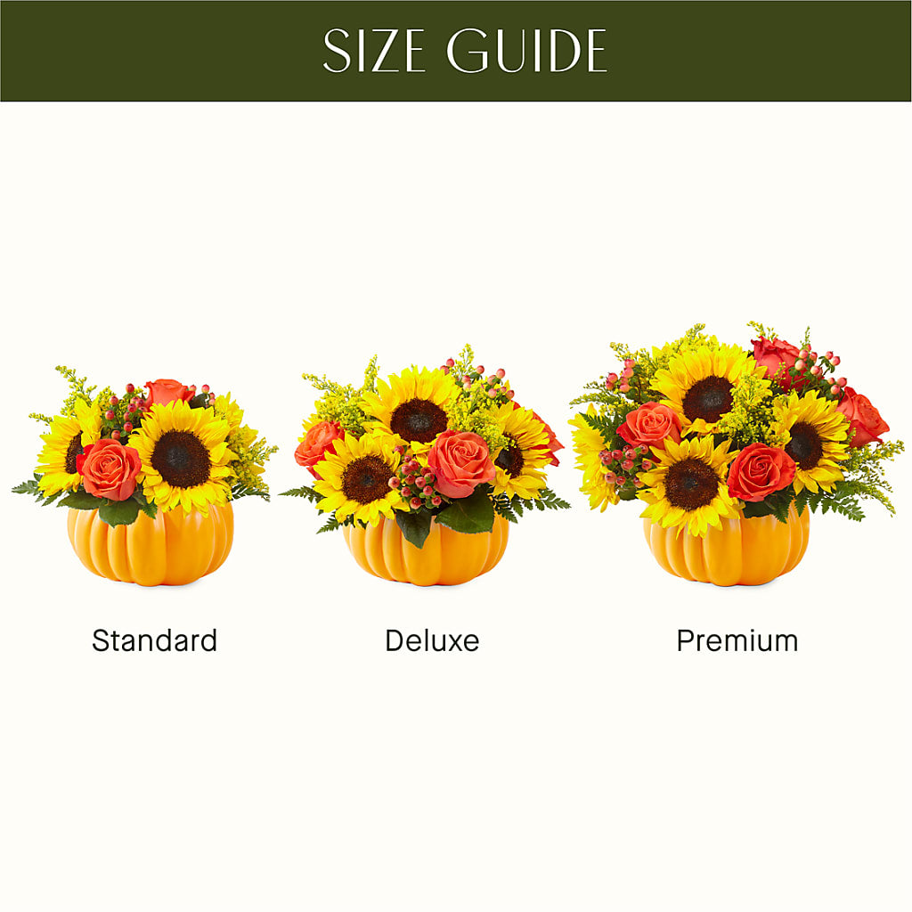 Pick of the Patch Pumpkin Bouquet – Bruce Philp Florist, Windsor ON