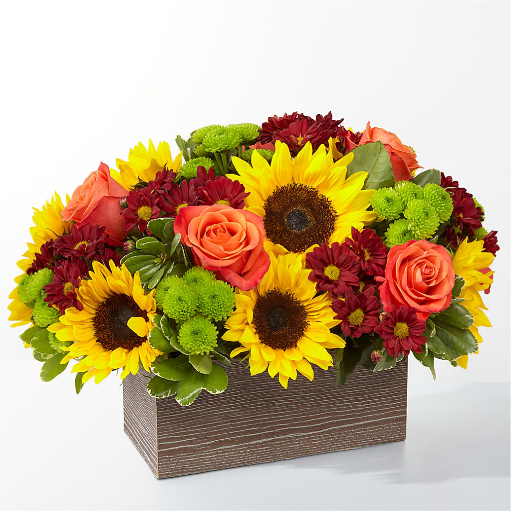 Happy Harvest Garden – Bruce Philp Florist, Windsor ON