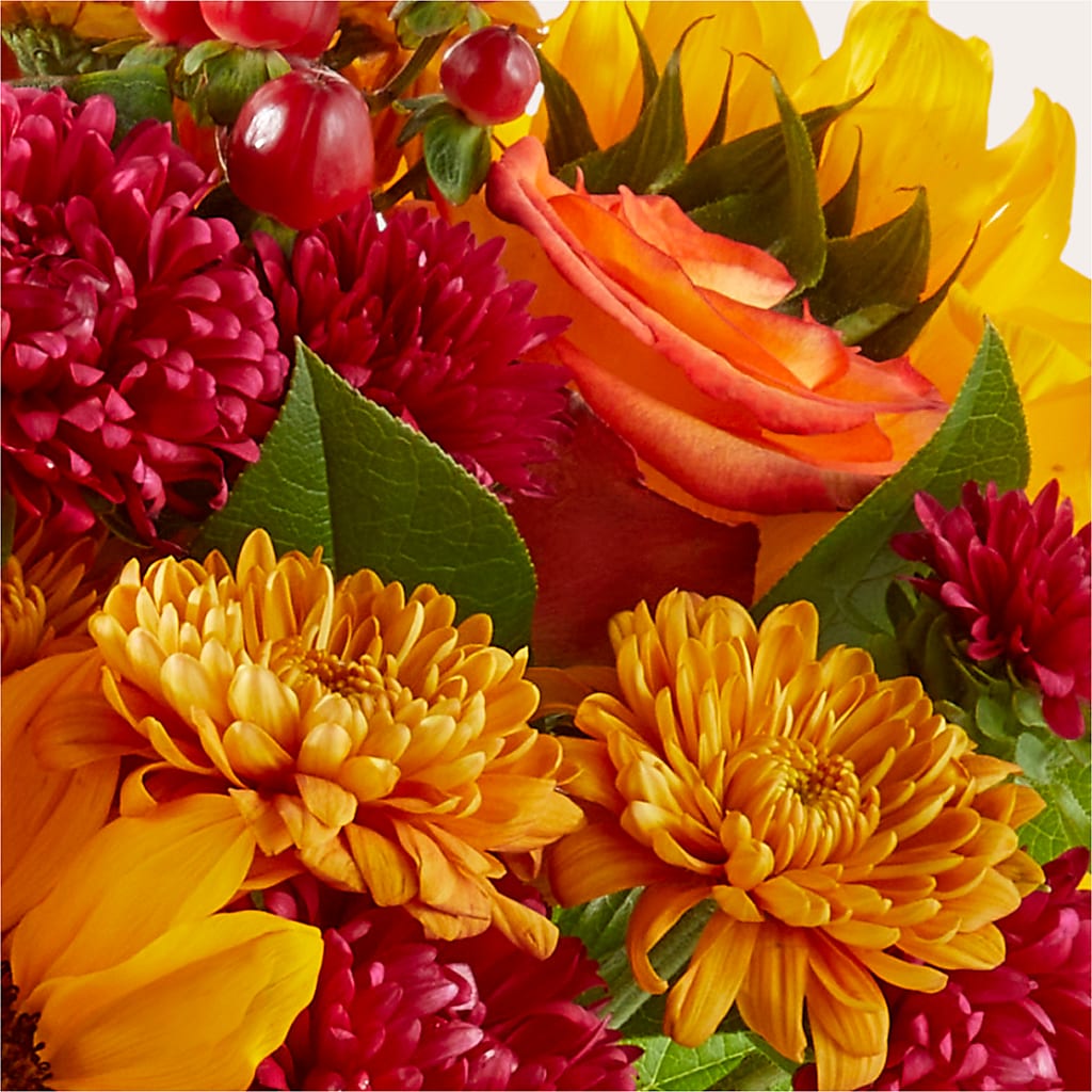 Sweater Season - A Florist Original – Bruce Philp Florist, Windsor ON