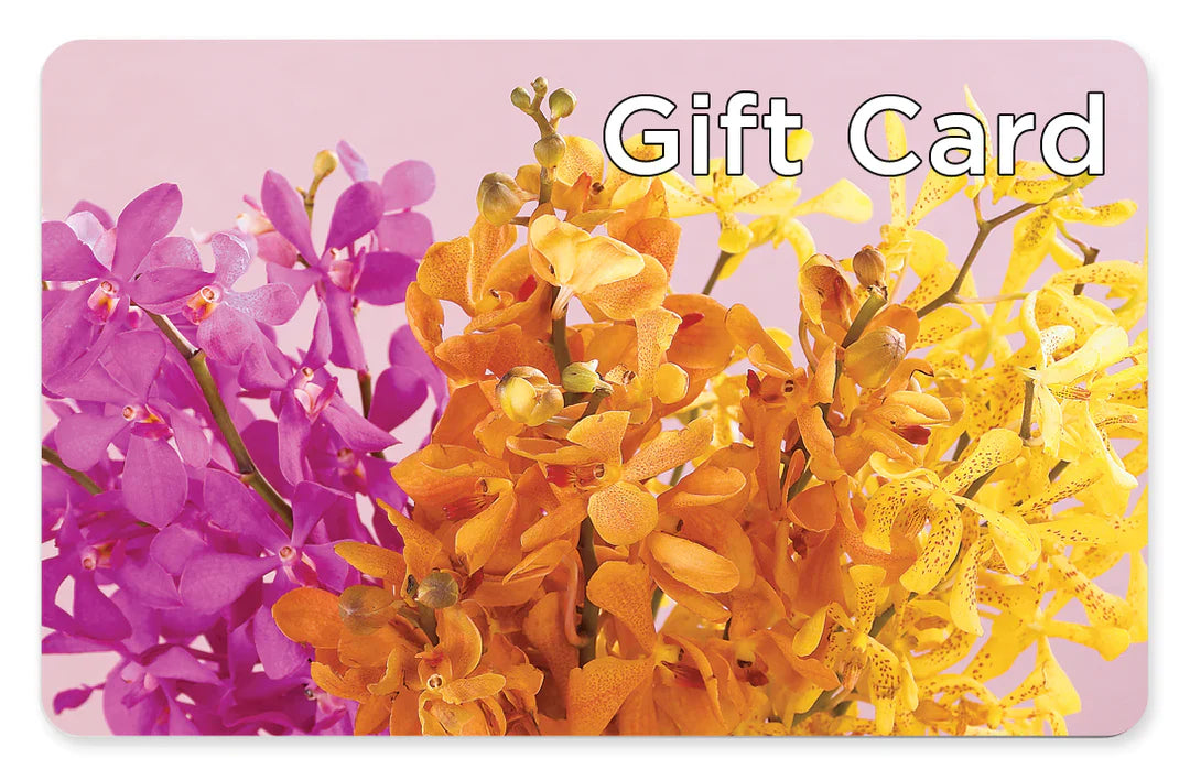 Gift Card – Bruce Philp Florist, Windsor ON