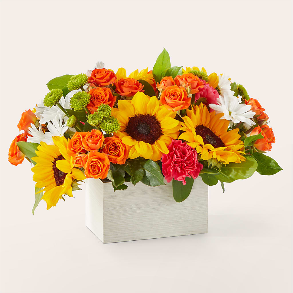Sun-drenched Blooms Box Bouquet – Bruce Philp Florist, Windsor ON