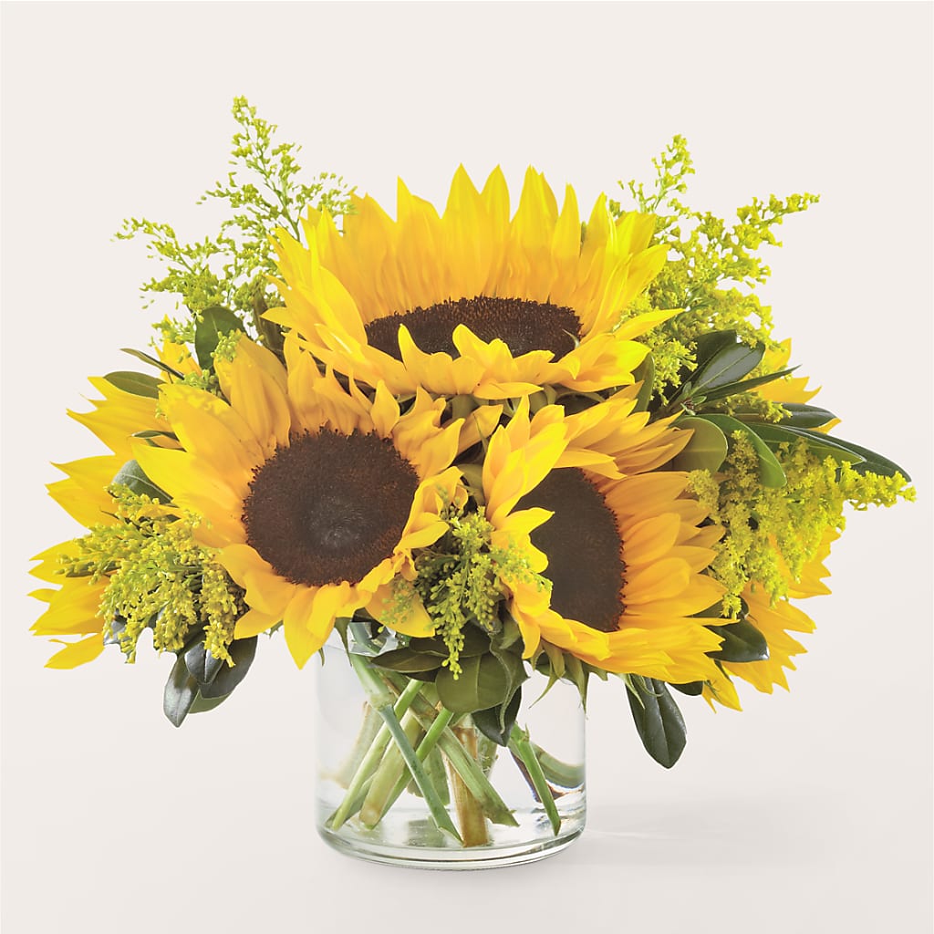 Beaming Sunflower Bouquet – Bruce Philp Florist, Windsor ON