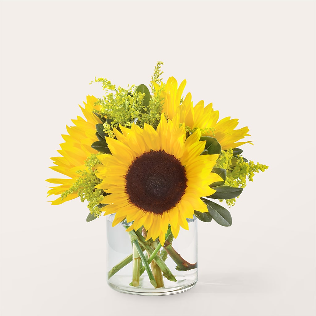 Beaming Sunflower Bouquet – Bruce Philp Florist, Windsor ON