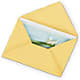 Greeting Card – Bruce Philp Florist, Windsor ON
