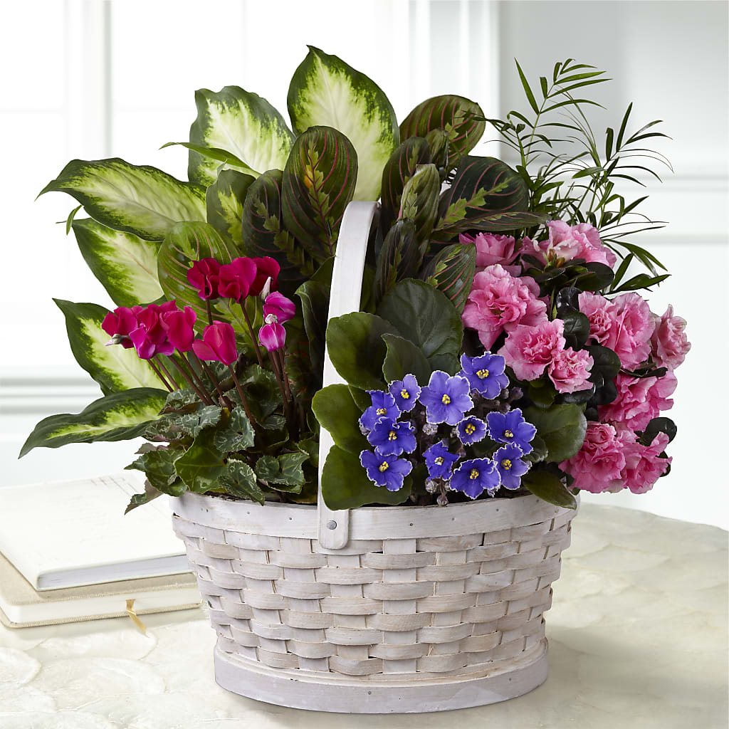 Peaceful Garden Planter – Bruce Philp Florist, Windsor ON