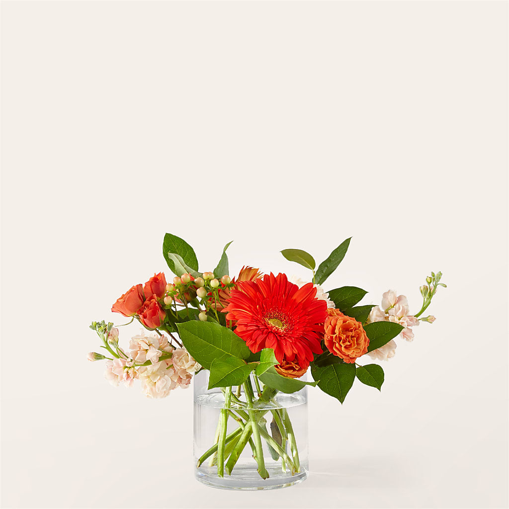Paloma Please Bouquet – Bruce Philp Florist, Windsor ON