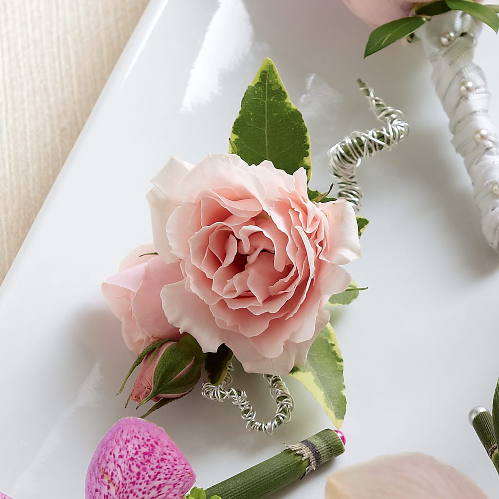 Pink Spray Rose Boutonniere – Bruce Philp Florist, Windsor ON