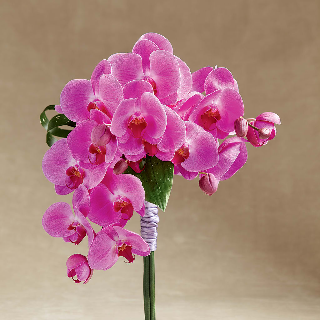 Glorious Bouquet – Bruce Philp Florist, Windsor ON