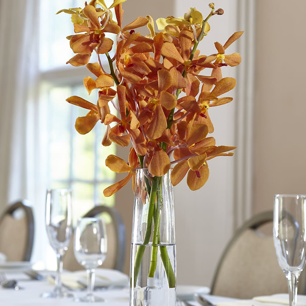 Orange Mokara Bud Vase – Bruce Philp Florist, Windsor ON