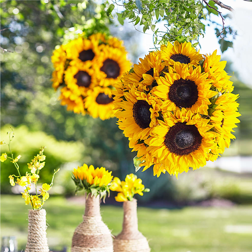 Sublime Garden Hanging Arrangement – Bruce Philp Florist, Windsor ON