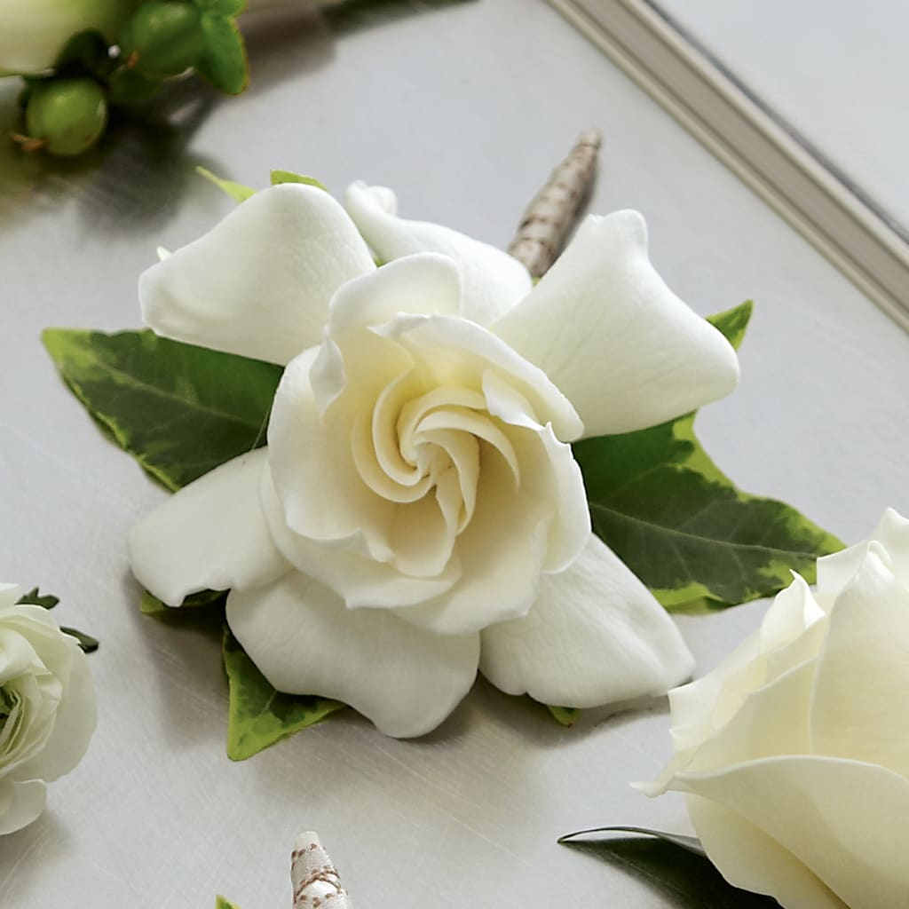 Gardenia Boutonniere – Bruce Philp Florist, Windsor ON