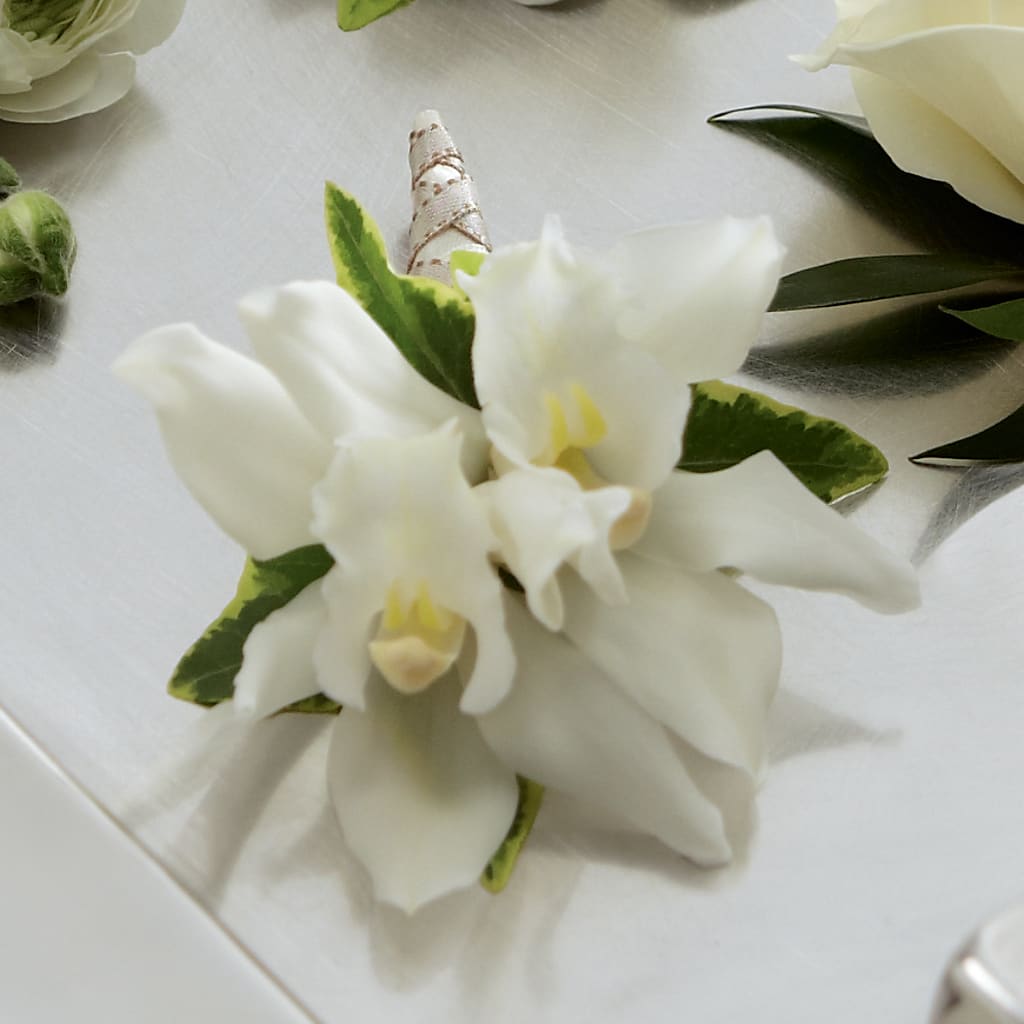 White Mini Cymbidium Boutonniere – Bruce Philp Florist, Windsor ON