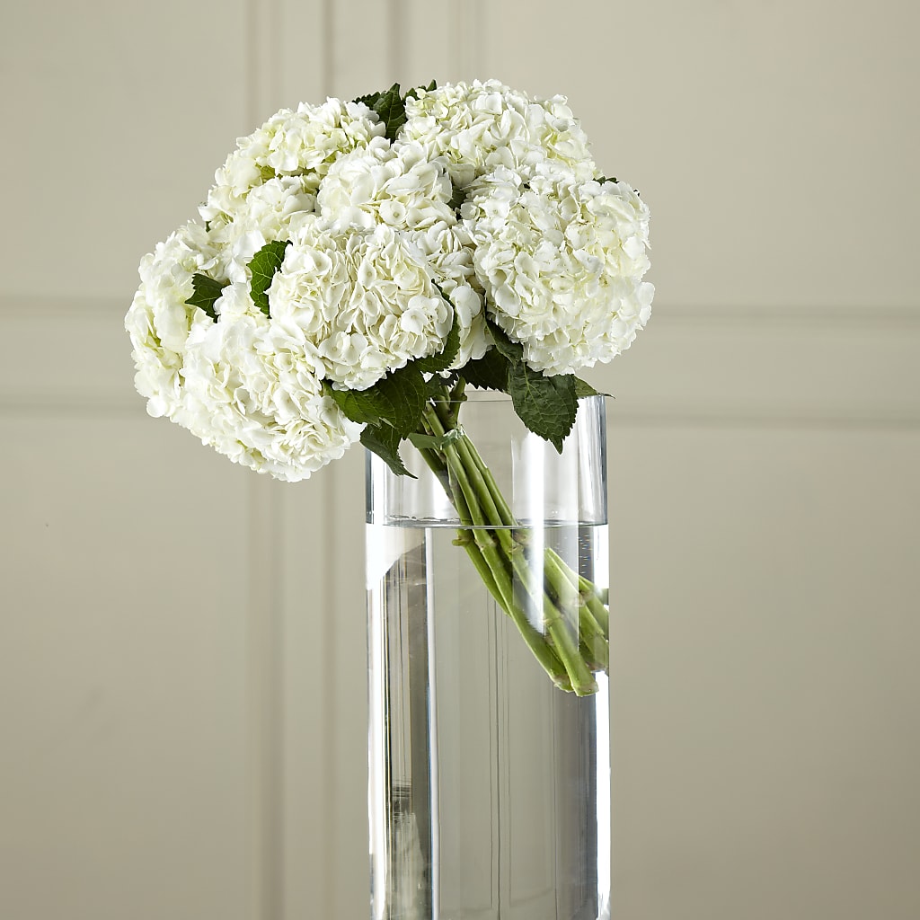 White Hydrangea Hand-Tied Bouquet – Bruce Philp Florist, Windsor ON
