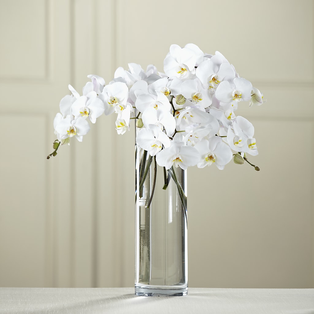 White Phalaenopsis Bouquet – Bruce Philp Florist, Windsor ON