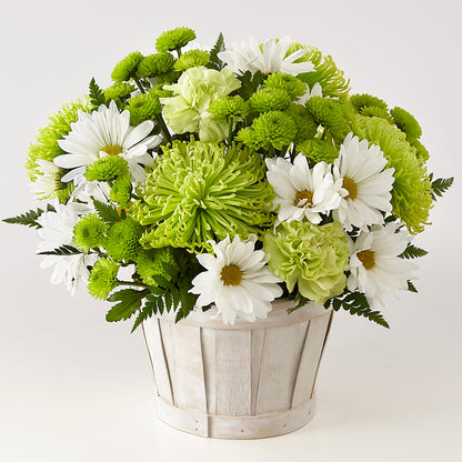 Lucky Charm Basket (Standard) –  Bruce Philp Florist, Windsor ON