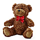 Adorable Plush Bear –  Bruce Philp Florist, Windsor ON