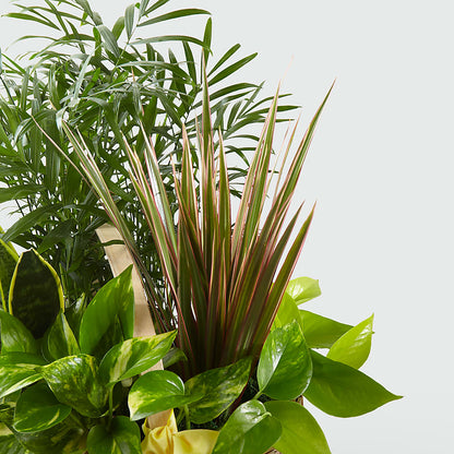 French Garden –  Bruce Philp Florist, Windsor ON