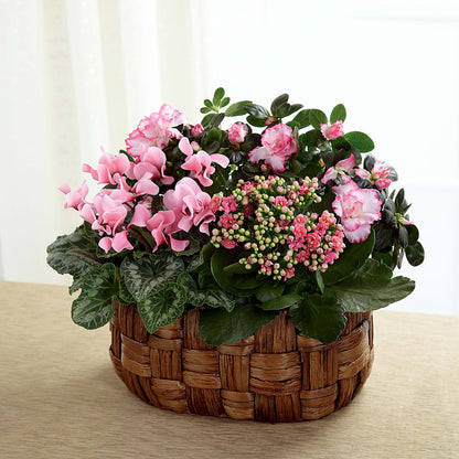 Pink Assortment –  Bruce Philp Florist, Windsor ON