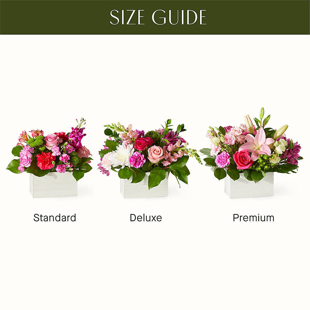 Sweetberry Box – A Florist Original –  Bruce Philp Florist, Windsor ON