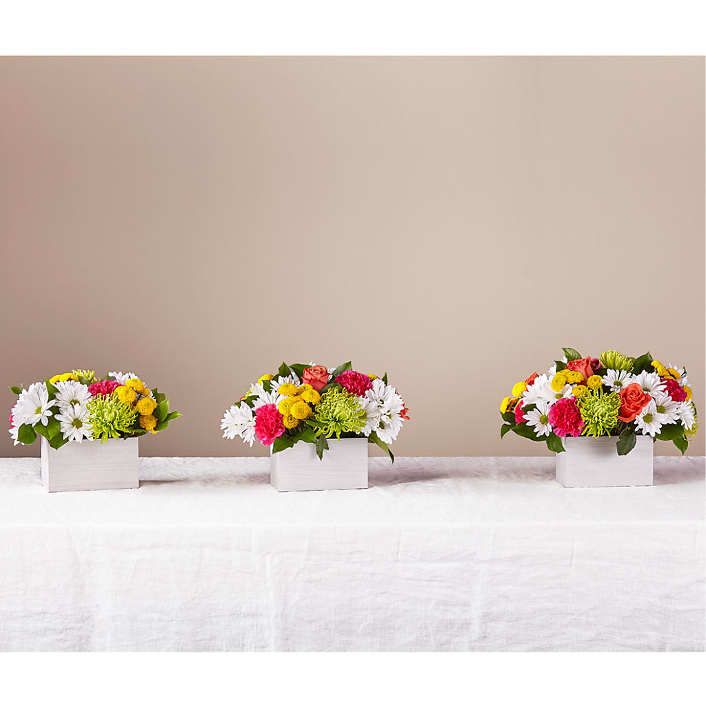 Sorbet Bouquet –  Bruce Philp Florist, Windsor ON
