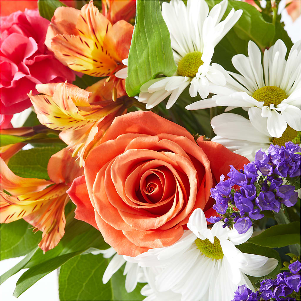 Oopsie Daisy Box Bouquet –  Bruce Philp Florist, Windsor ON