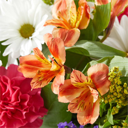 Oopsie Daisy Box Bouquet –  Bruce Philp Florist, Windsor ON