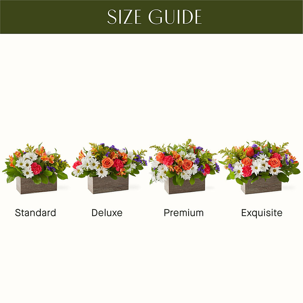 Oopsie Daisy Box Bouquet –  Bruce Philp Florist, Windsor ON