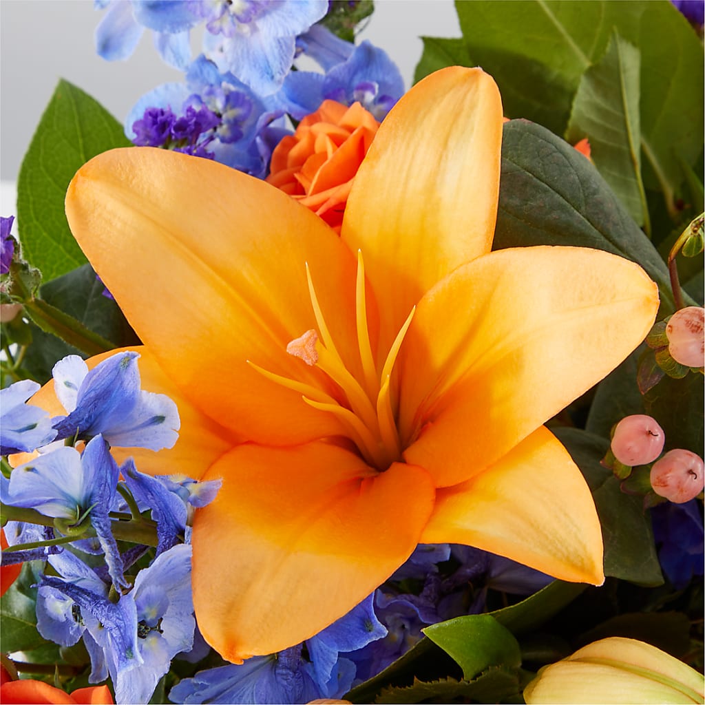 Radiant Citrus Box Bouquet –  Bruce Philp Florist, Windsor ON