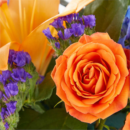 Radiant Citrus Box Bouquet –  Bruce Philp Florist, Windsor ON