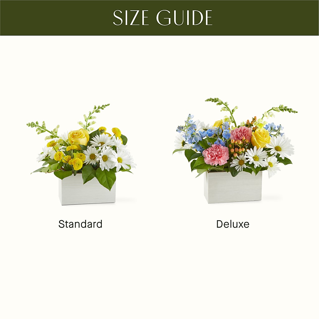 Sun Salutation Box Bouquet –  Bruce Philp Florist, Windsor ON