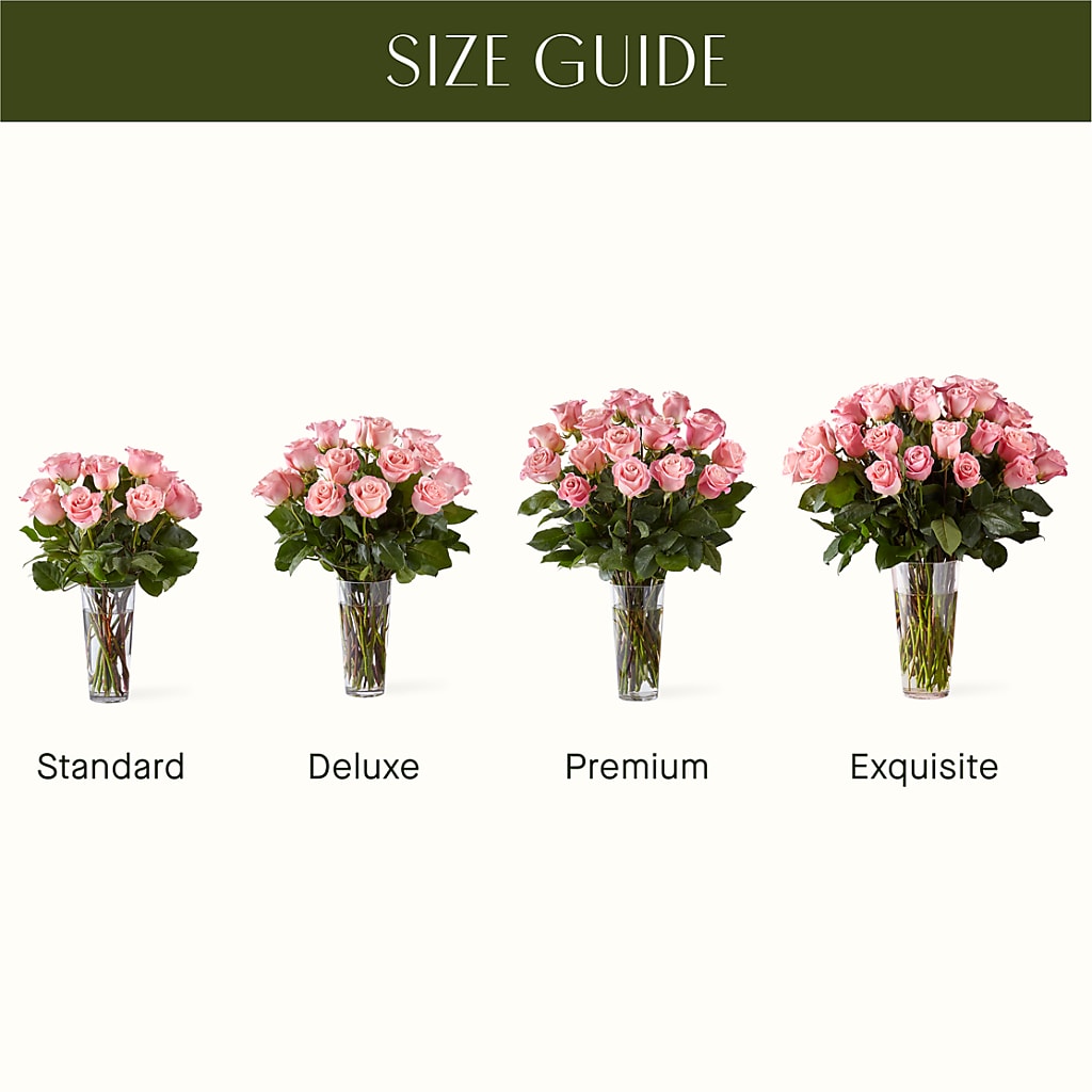 Long Stem Pink Rose Bouquet –  Bruce Philp Florist, Windsor ON