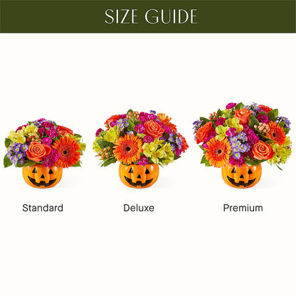 Tricks & Treats Pumpkin –  Bruce Philp Florist, Windsor ON