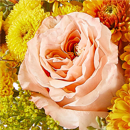 Peachy Pumpkin –  Bruce Philp Florist, Windsor ON