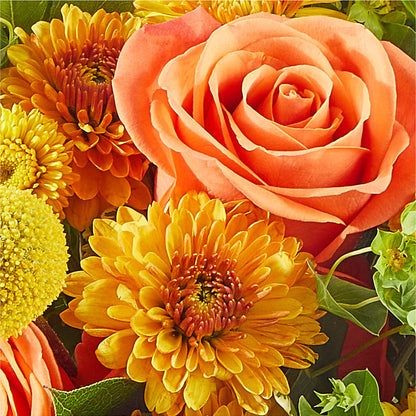 Gourdgeous Pumpkin –  Bruce Philp Florist, Windsor ON