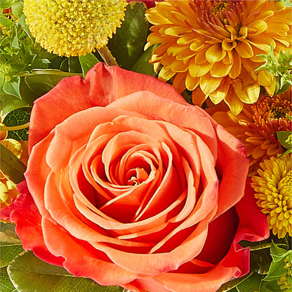 Gourdgeous Pumpkin –  Bruce Philp Florist, Windsor ON