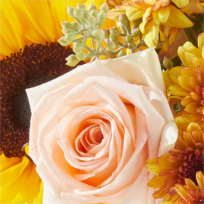 Pumpkin to Talk About Bouquet –  Bruce Philp Florist, Windsor ON