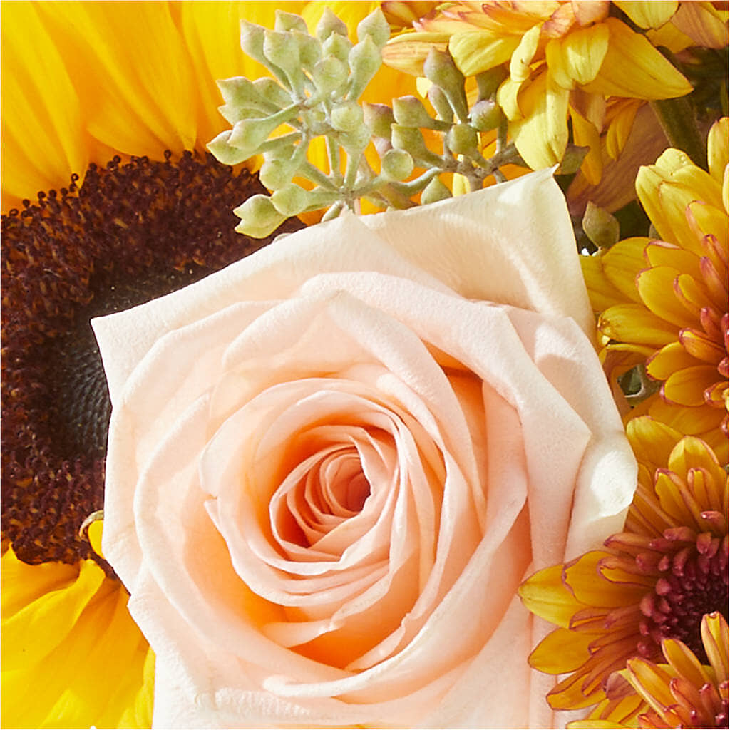 Pumpkin to Talk About Bouquet –  Bruce Philp Florist, Windsor ON