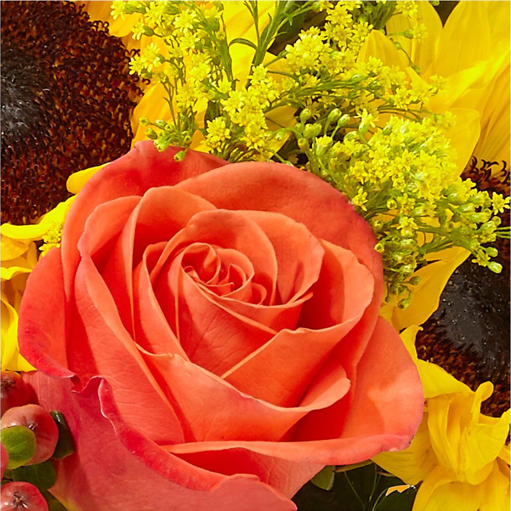 Pick of the Patch Pumpkin Bouquet –  Bruce Philp Florist, Windsor ON