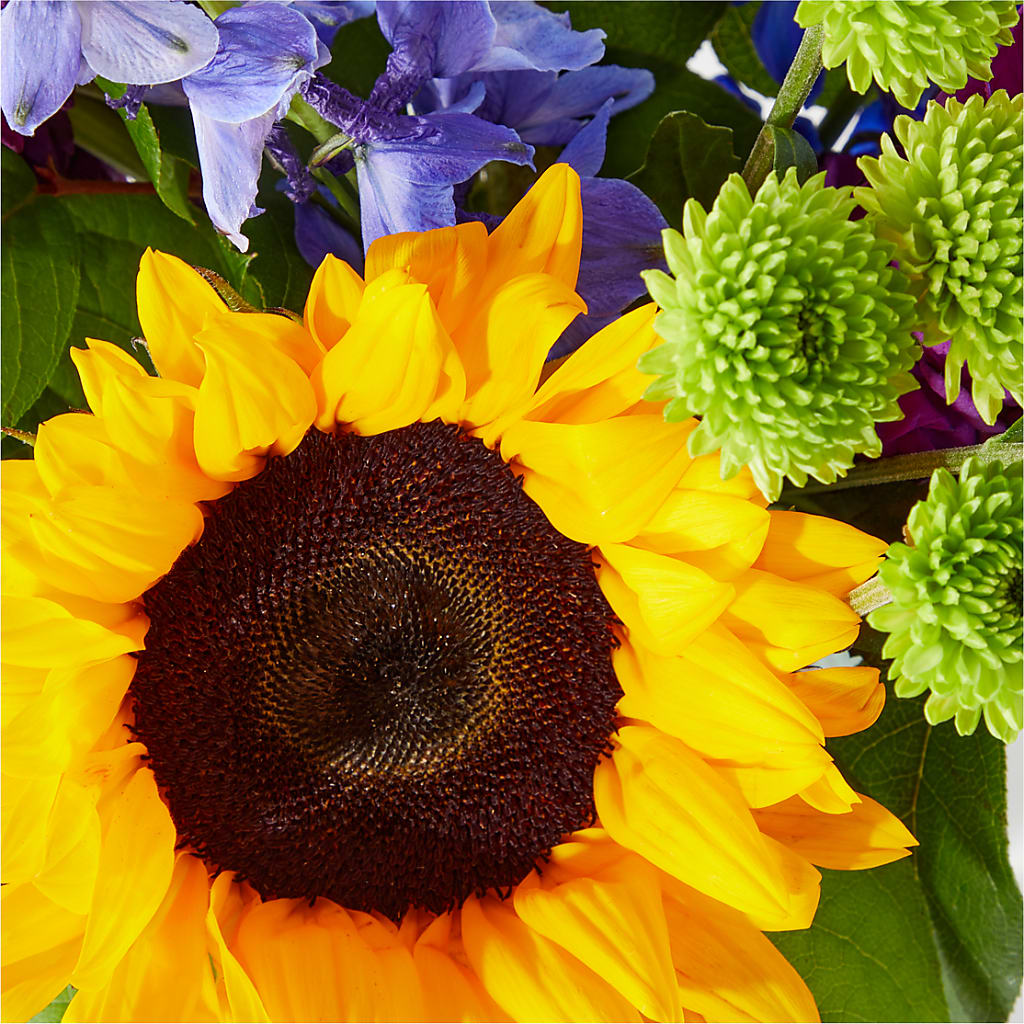 Catching Rays Bouquet –  Bruce Philp Florist, Windsor ON