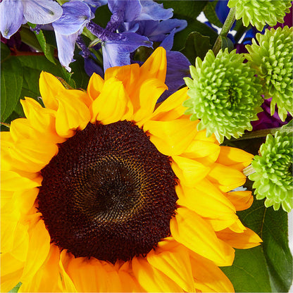 Catching Rays Bouquet –  Bruce Philp Florist, Windsor ON