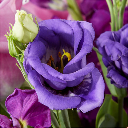 Twilight Glow Bouquet –  Bruce Philp Florist, Windsor ON